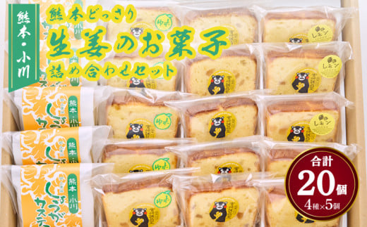 しょうが カステラ パウンドケーキ 熊本どっさり生姜のお菓子 詰め合わせ セット 1980217 - 熊本県宇城市