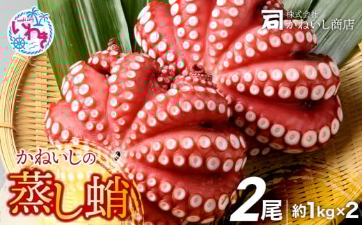 かねいしの蒸し蛸2尾【約1kg×2尾】 BU002-2kg-r7 851337 - 福島県いわき市