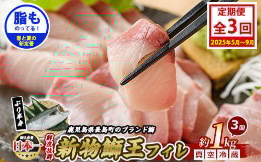＜定期便・毎月 全3回＞鰤王フィレ 定期便 長島町特産「鰤王」フィレ 約1.0kg×1枚 鰤 国産 鹿児島県産 鰤 ブリ ぶり 鰤 ぶりおう 冷蔵 海鮮 海産物 魚介 ブランド 魚 真空パック 刺身 ぶりしゃぶ しゃぶしゃぶ 海鮮丼 産地直送【JFA】jfa-1481B