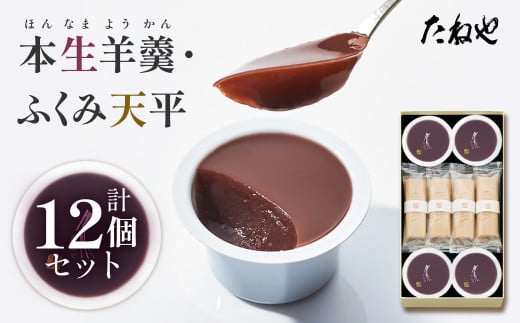 【たねや】本生羊羹 4・ふくみ天平 8 2025年4月上旬より順次発送 BN07 1381304 - 滋賀県愛荘町