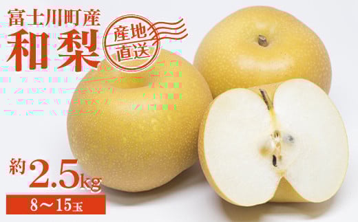 【2025年発送分】フルーツ王国やまなし《人気品種》 和梨 8～15玉（約2.5kg）幸水 豊水  ※8月上旬以降発送予定 梨 なし くだもの 果物 フルーツ 山梨 やまなし 産地直送 先行予約