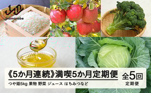 山形県産  5カ月連続 満喫5か月定期便  産直 やまのべ温泉市  野菜 果物 米  F20A-570 ※沖縄・離島への配送不可 239883 - 山形県山辺町