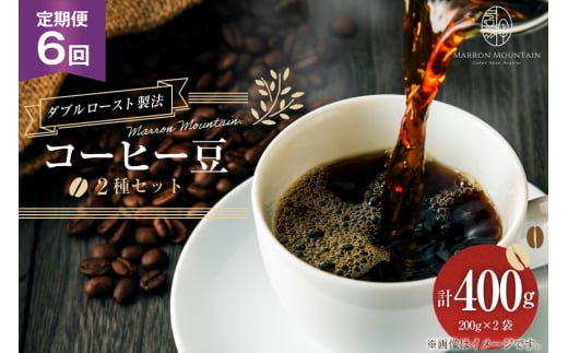 定期便 6回 コーヒー豆 2種セット 200g×2袋 [MARRON MOUNTAIN 埼玉県 小川町 310] 珈琲 ドリップ ダブルロースト製法 フルシティロースト