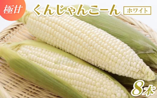 ＜2026年4～5月頃順次発送＞春獲れ一番!極甘くんじゃんこーん ホワイト 8本 とうもろこし【1578629】