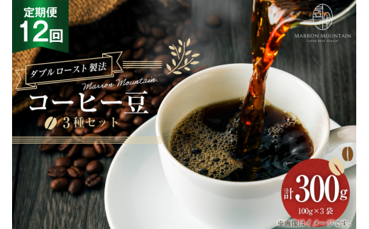 定期便 12回 コーヒー豆 3種セット 100g×3袋 [MARRON MOUNTAIN 埼玉県 小川町 306] 珈琲 ドリップ ダブルロースト製法 フルシティロースト