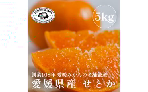 ＜2026年2月発送＞柑橘の大トロ＜せとか5kg(約15個～30個)＞家庭用＜F70-57＞【1554059】 1508199 - 愛媛県八幡浜市