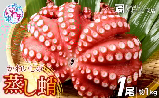 かねいしの蒸し蛸1尾【約1kg】 BU001-1kg-r7 851336 - 福島県いわき市