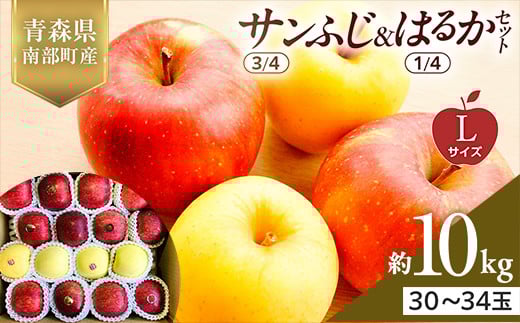 青森県産 サンふじ(3/4)・はるか(1/4)セット Lサイズ 10kg 【佐々木あきおはるこ農園】 青森りんご リンゴ 林檎 アップル あおもり 青森県 南部町 三戸 果物 くだもの フルーツ F21U-577 2114027 - 青森県南部町