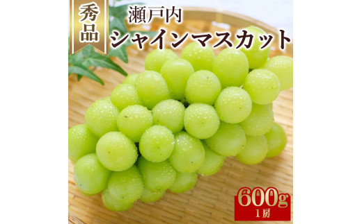 [ふるさと納税]期間限定 シャインマスカット 1房(約600g)〜最大9房(約4.4kg以上) [ フルーツ 果物 ぶどう マスカット 美味しい 旬 糖度 皮ごと 種なし 送料無料 食品 大粒 訳あり 贈答用 ギフト 三豊市 五色青果 返礼品][配送不可地域:北海道・沖縄県・離島]