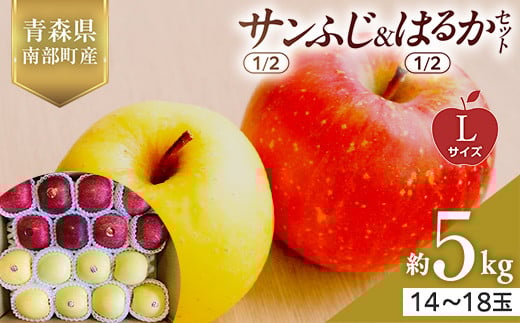 青森県産 サンふじ(1/2)・はるか(1/2)セット Lサイズ 5kg (各2.5kg) 【佐々木あきおはるこ農園】 青森りんご リンゴ 林檎 アップル あおもり 青森県 南部町 三戸 果物 くだもの フルーツ F21U-568
