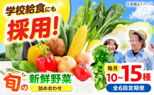 【全6回】【数量限定】厳選！旬を味わう高槻野菜おまかせ詰め合わせ定期便（10種～15種）　大阪府高槻市/高槻あぐり [AOCS020] 1684211 - 大阪府高槻市