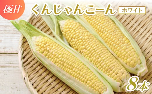 ＜2026年4～5月頃順次発送＞春獲れ一番!極甘くんじゃんこーん 8本 とうもろこし【1578836】