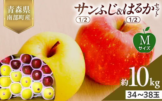 青森県産 サンふじ(1/2)・はるか(1/2)セット Mサイズ 10kg (各5kg) 【佐々木あきおはるこ農園】 青森りんご リンゴ 林檎 アップル あおもり 青森県 南部町 三戸 果物 くだもの フルーツ F21U-572
