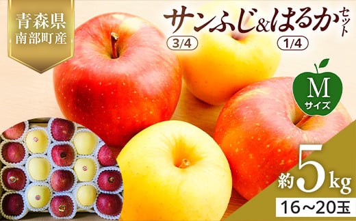青森県産 サンふじ(3/4)・はるか(1/4)セット Mサイズ 5kg 【佐々木あきおはるこ農園】 青森りんご リンゴ 林檎 アップル あおもり 青森県 南部町 三戸 果物 くだもの フルーツ F21U-575 2114025 - 青森県南部町