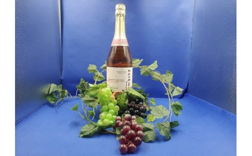 サントネージュスパークリング ロゼ かみのやま産葡萄 1本 0141-2409 933974 - 山形県上山市