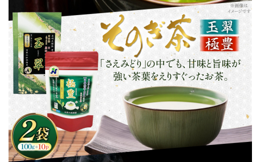 お茶 緑茶 そのぎ茶 玉翠100g×1袋・極豊緑茶ティーバッグ6g×1袋 [西海 