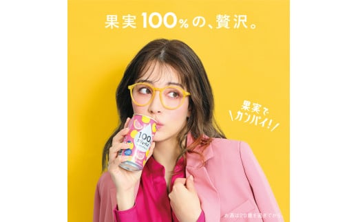 栃木県下野市のふるさと納税 【定期便3回】100％カジューハイピンクグレープフルーツ 340ml × 72本 | ふるさと納税 缶チューハイ 缶酎ハイ ピンクグレープフルーツ アルコール 3％ カロリー低い 喉越し 爽快 爽やか 洋酒 人気 酎ハイ サワー パーティー 送料無料 下野 栃木