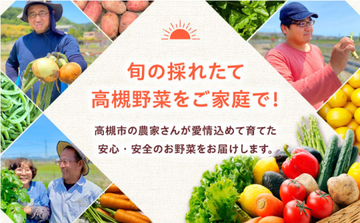 野菜 贈答 ギフト 産地直送 取り寄せ 送料無料 大阪