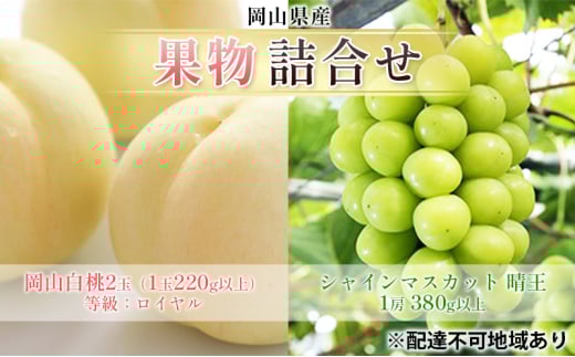 [№5615-0708]ぶどう 2025年 先行予約 果物 詰合せ 岡山 白桃 2玉 等級：ロイヤル（1玉220g以上） シャイン マスカット 晴王 1房 380g以上 もも 葡萄 岡山県産 国産 フルーツ 果物 ギフト