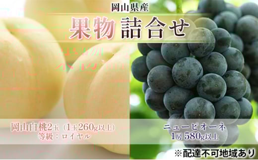 [№5615-0706]ぶどう 2025年 先行予約 果物 詰合せ 岡山 白桃 2玉 等級：ロイヤル（1玉260g以上） ニュー ピオーネ  1房 580g以上 もも 葡萄 岡山県産 国産 フルーツ 果物 ギフト