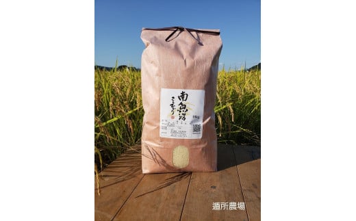 【令和7年産新米予約】【お米定期便/全12回】南魚沼産コシヒカリ 白米10kg【2025年10月中旬より順次発送予定】 464317 - 新潟県南魚沼市