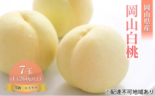 [№5615-0702]桃 2025年 先行予約 岡山 白桃 7玉 約1.8kg 等級：ロイヤル（1玉 260g以上） もも モモ 岡山県産 国産 フルーツ 果物 ギフト