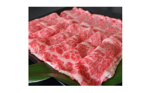 厳選されたGI認証 くまもとあか牛 特選すき焼き用 500g(美里町)【1502544】 2070512 - 熊本県美里町