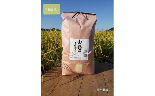 【令和7年産新米予約】【お米定期便/全12回】南魚沼産コシヒカリ 無洗米10kg【2025年10月中旬より順次発送予定】 464318 - 新潟県南魚沼市