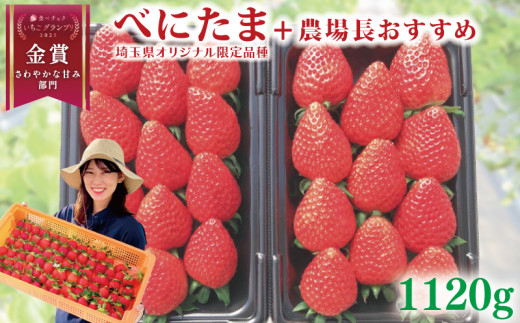 【事前受付】いちご べにたま +農場長おすすめ品種 1120g (280g×4P)  苺 食べ比べ イチゴ ストロベリー 産地直送 ご当地 果物 くだもの フルーツ デザート 食品 冷蔵 げんき農場 埼玉県 羽生市 1720503 - 埼玉県羽生市
