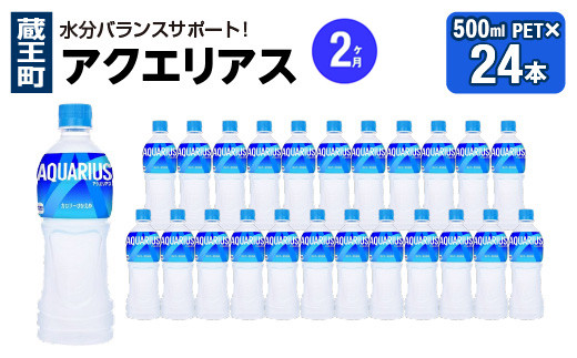 【2か月連続お届け】アクエリアス　500ml PET×24本　【04301-0705】