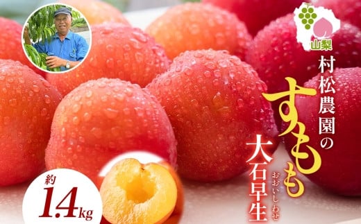 すもも 大石早生 6パック 約1.4kg   | スモモ プラム フルーツ 果物 産地直送 旬 果実 甘酸っぱい 爽やか 果汁 ジューシー こだわり 新鮮 人気 美味しい おやつ 贈答 ギフト 贈り物 村松農園 送料無料 山梨県 笛吹市 | 177-5-010 2068739 - 山梨県笛吹市