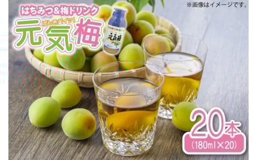 はちみつ&梅ドリンク「元気梅」＜180ml×20本＞ (AF006) 698734 - 茨城県城里町