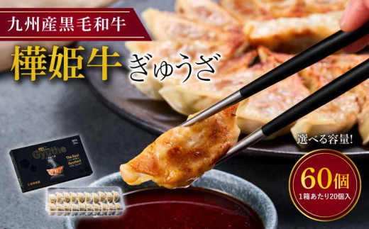 樺姫牛 ぎゅうざ 60個入 餃子 黒毛和牛 牛肉 肉 国産 おかず 1886164 - 熊本県宇城市