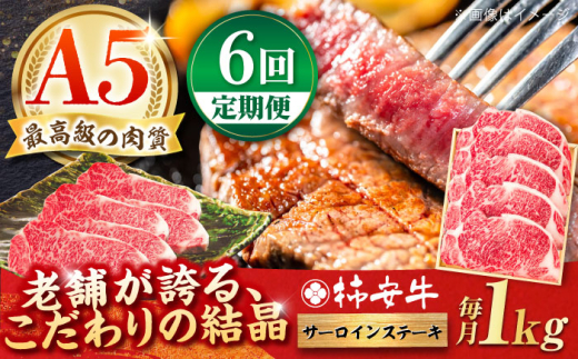 【6回定期便】最高級A5等級 三重県産 黒毛和牛 柿安牛 サーロインステーキ 1000g / 国産牛 ブランド牛 牛肉 冷蔵 / 亀山市 / 柿安本店 [AMBW031]