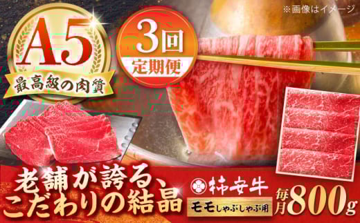 【3回定期便】最高級A5等級 三重県産 黒毛和牛 柿安牛 モモ 800g / 国産牛 ブランド牛 牛肉 冷蔵 / 亀山市 / 柿安本店 [AMBW012] 1555838 - 三重県亀山市