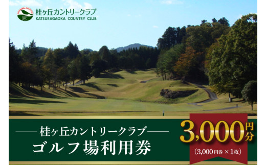 桂ケ丘カントリークラブ利用券3,000 円分 (AM001) 698062 - 茨城県城里町