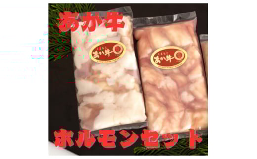 熊本県産 あか牛 牛小腸 ホルモンセット400g(200g×2パック)(美里町)【1555100】 2070554 - 熊本県美里町