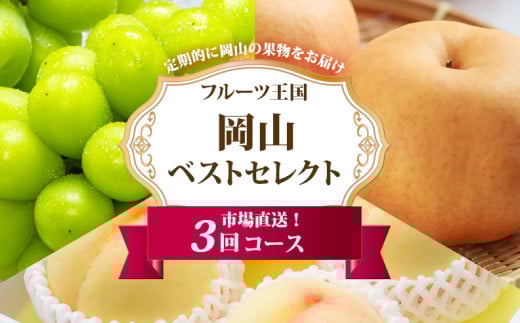 ［2025年先行予約］ 岡山県産 果物定期便 3回コース【2025年7月上旬-11月下旬 発送予定】【もも 桃 シャインマスカット 梨 なし あたご梨 果物 フルーツ 国産 人気 おすすめ 岡山県 倉敷市】 732462 - 岡山県倉敷市