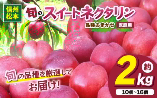 信州産 品種おまかせ旬のネクタリン 約2kg（10個～16個）｜ふるさと納税 信州 松本 ネクタリン オリジナル 品種 甘い 果物 フルーツ 甘い おすすめ  1444911 - 長野県松本市