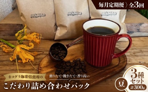 ＜毎月定期便＞《豆3種計300g》ネコグラ珈琲焙煎所の煎りたて挽きたてコーヒーセット全3回【4064341】 2005408 - 大阪府高石市