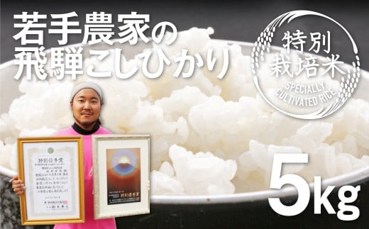 《先行予約》令和8年産 こしひかり 5kg 特別栽培米 食味コンクール受賞農家の特別栽培米コシヒカリ 米 新米 白米 お米 池本農園 2126195 - 岐阜県飛騨市