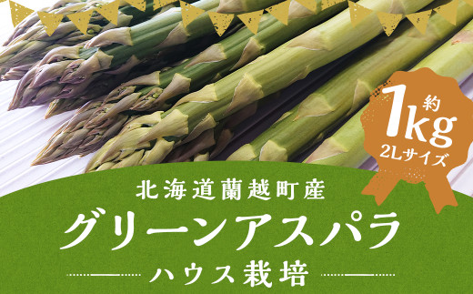 グリーンアスパラ ハウス栽培 2L（約1kg相当）【2025年4月下旬～5月上旬発送予定】 野菜 アスパラ アスパラガス やさい