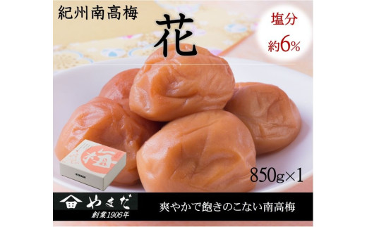 紀州南高梅「花」塩分約６％（850ｇ）/南高梅 紀州南高梅 梅 梅干し うめ 紀州 おかず【ymdm011】