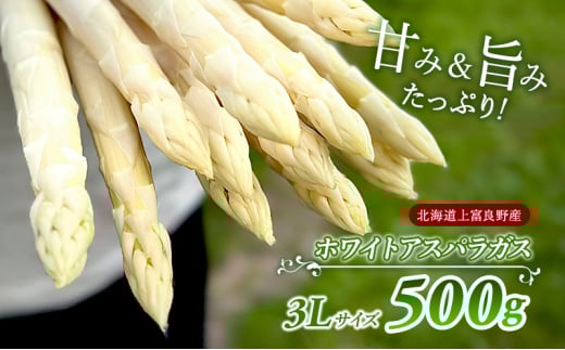 先行予約 【 2025年 発送 ！】 北海道 上富良野産 ホワイトアスパラガス 3L サイズ 500g アスパラ ホワイト アスパラガス 上富良野町 令和7年発送 野菜 やさい