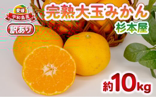 みかん 訳あり 完熟 大玉みかん 10kg 杉本屋 完熟みかん mikan わけあり 訳アリ 訳あり品 愛媛みかん 愛媛蜜柑 愛媛ミカン 温州 愛媛県産 温州みかん 果物 くだもの フルーツ 柑橘 みかん 蜜柑 産地直送 数量限定 国産 愛媛 宇和島 B010-143017 2134618 - 愛媛県宇和島市