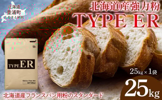 TYPE ER 25kg 【 ふるさと納税 人気 おすすめ ランキング 小麦粉 パン 国産 北海道 TYPE ER 自宅用  江別製粉 北海道 豊浦町 送料無料 】 TYUAI021