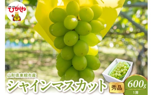 2025年産 シャインマスカット 600g(1房) 秀品 山形県 東根市 hi082-023-1 2065282 - 山形県東根市