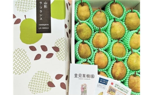 西洋梨（ラ・フランス）５ｋｇ　１８～２０玉　特秀品　0079-2518 337655 - 山形県上山市