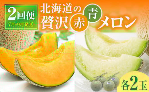 【 7月青肉・9月赤肉発送】北海道の贅沢　暑寒メロン食べ比べ2回便 【各2玉づつ】メロン 定期便 食べ比べ 先行予約 北海道 赤肉 青肉 糖度 14度以上 2025年 7月 9月 ブランドメロン 1398624 - 北海道雨竜町