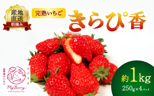 【先行予約 : 2025年3月～2025年5月発送予定】 いちご きらぴ香 約1kg 約250g×4パック 朝どれ 完熟 苺 産地 直送 フレッシュ イチゴ 贈答 フルーツ 果物 国産 静岡県 藤枝市 ふるさと人気 ふるさとおすすめ 1065472 - 静岡県藤枝市